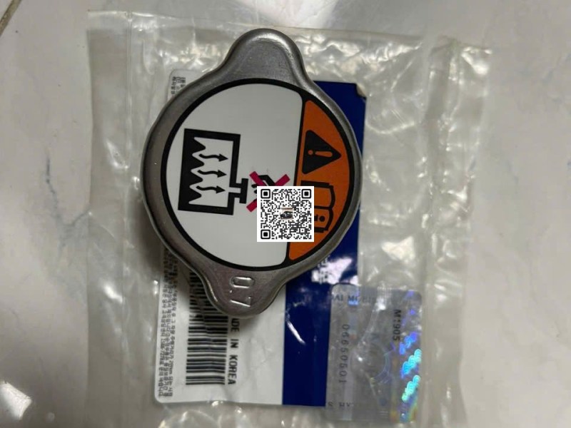 Nắp két nước Hyundai HD72 HD99 110S N250 HD700 HD800 chính hãng